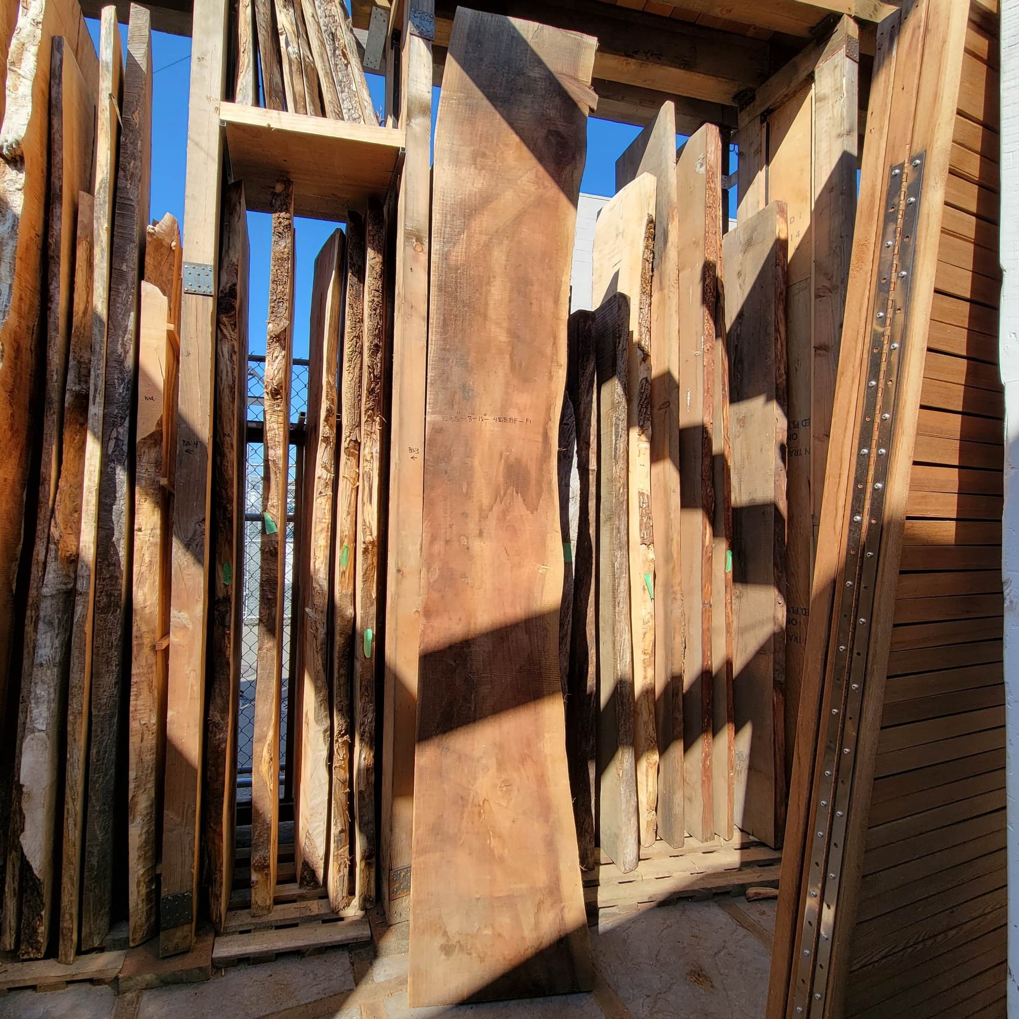 Douglas Fir